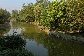 Tribal People In Bangladesh.