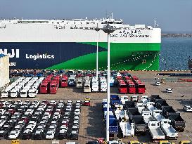 Ship Load Export Vehicles in Lianyungang Port