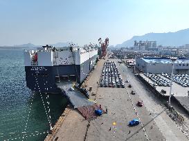 Ship Load Export Vehicles in Lianyungang Port