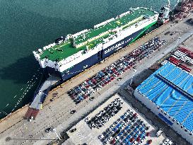 Ship Load Export Vehicles in Lianyungang Port