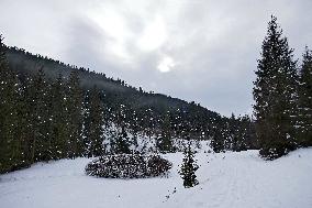 Climbing Mount Petros from Kozmeshchyk tract