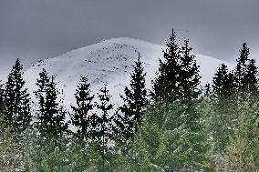 Climbing Mount Petros from Kozmeshchyk tract