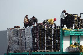 Aid Trucks Wait to Enter Gaza