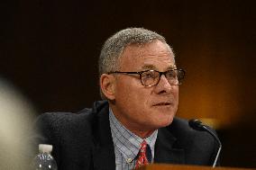 Tulsi Gabbard Confirmation Hearing