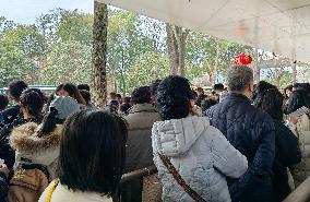Spring Festival Holiday Tour in Changsha