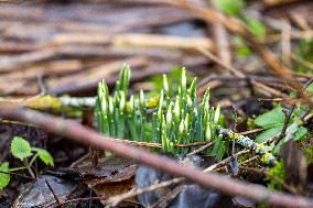 Unusual flood in winter