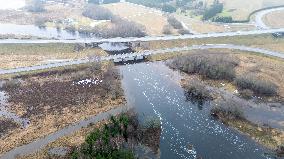 Unusual flood in winter