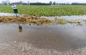 Unusual flood in winter