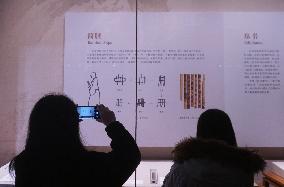 China National Archives of Publications and Culture