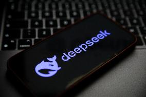 DeepSeek On Screen Photos