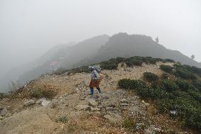 Daily Life In Darjeeling, India