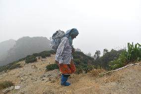 Daily Life In Darjeeling, India