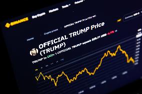 Trump Crypto Illustrations