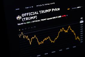 Trump Crypto Illustrations