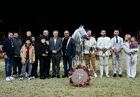 Katara International Arabian Horse Festival (Kiahf) 2025