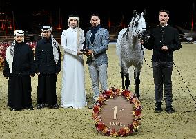 Katara International Arabian Horse Festival (Kiahf) 2025
