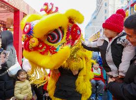 Spring Festival Holiday Tour in Qingdao