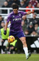 Newcastle United FC v Fulham FC - Premier League