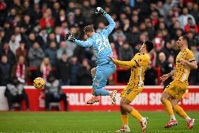 Nottingham Forest FC v Brighton & Hove Albion FC - Premier League