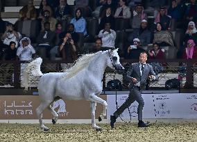 Katara International Arabian Horse Festival (KIAHF) 2025