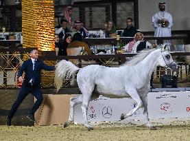 Katara International Arabian Horse Festival (KIAHF) 2025