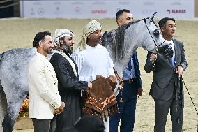 Katara International Arabian Horse Festival (KIAHF) 2025