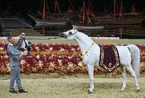 Katara International Arabian Horse Festival (KIAHF) 2025