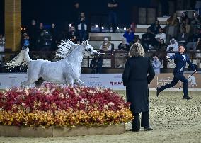 Katara International Arabian Horse Festival (KIAHF) 2025