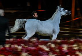 Katara International Arabian Horse Festival (KIAHF) 2025