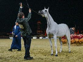 Katara International Arabian Horse Festival (KIAHF) 2025