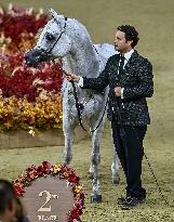 Katara International Arabian Horse Festival (KIAHF) 2025