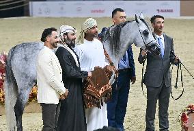 Katara International Arabian Horse Festival (KIAHF) 2025