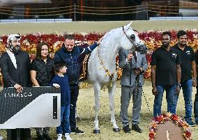 Katara International Arabian Horse Festival (KIAHF) 2025