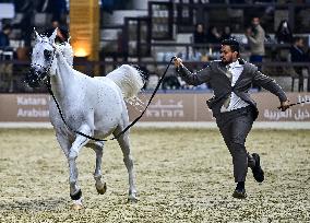 Katara International Arabian Horse Festival (KIAHF) 2025