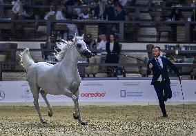 Katara International Arabian Horse Festival (KIAHF) 2025