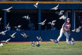 Dominican Republic v Japan - Serie Del Caribe 2025
