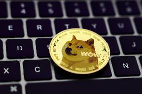 USA Politics Meme Coins Photo Illustrations