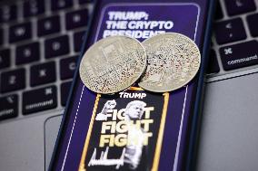 USA Politics Meme Coins Photo Illustrations