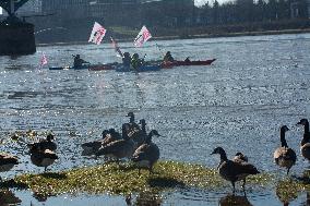 Protesters Paddle For Diversity In Cologne