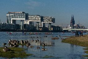 Protesters Paddle For Diversity In Cologne