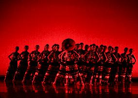 Chinese New Year Show - Chicago
