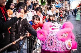 Chinese New Year Celebrations - Madrid