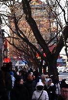Alley Tour in Beijing