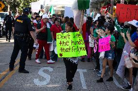 Protest Against Trump Immigration Policies In Houston