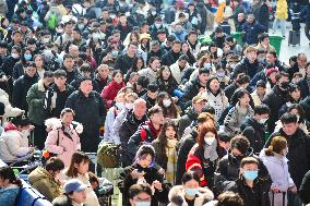 Spring Festival Travel Return Peak in Fuyang