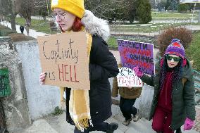 Azov in Captivity rally in Uzhhorod