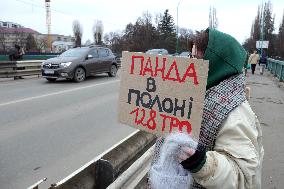 Azov in Captivity rally in Uzhhorod