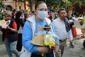 Candlemas Day In The Center Of Tlalpan In Mexico City