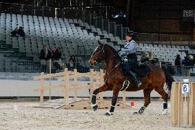 Cheval Passion 2025 - Avignon