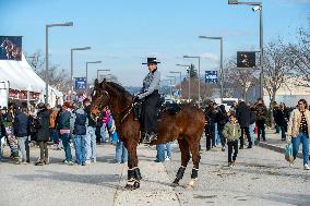 Cheval Passion 2025 - Avignon